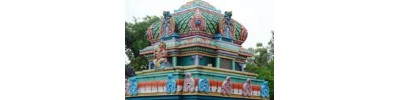 தெற்கு பொய்கைநல்லூர்